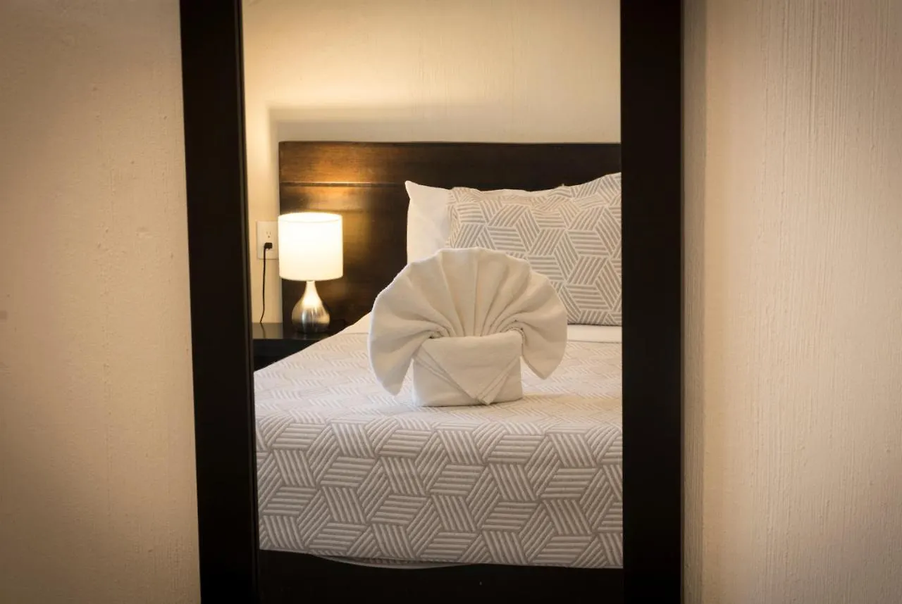 Hotel Shaddai 普拉亚卡门
